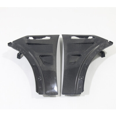 Carbon Fiber Front Fender Pair For 90794 R50 R52 R53 Mini Cooper S EPA Type 2