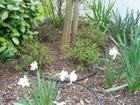 Bild 7 von 13