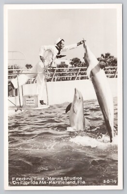RPPC Sailor Feeding Dolphins Marine Studios Marineland Florida Postcard