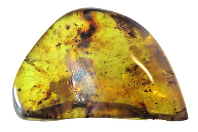 AMBAR COPAL with vegetable inlays 13.5 Grs