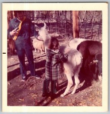 Vtg Color Snapshot Girl Petting Llama Alpaca Man Denim Outfit Zoo 1970
