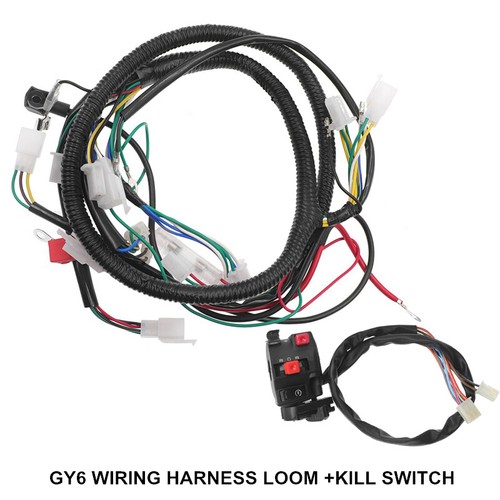 WIRE LOOM WIRING HARNESS GY6 125cc 150cc 250cc ATV QUAD BIKE BUGGY GO