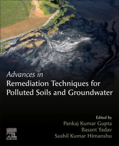 Advances in Remediation Techniques for Polluted Soils and Groundwater Gupta