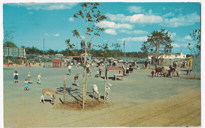 Lollypopfarm Lollypop Farms Dogs LOLLYPOP FARM ROCHESTER HUMANE