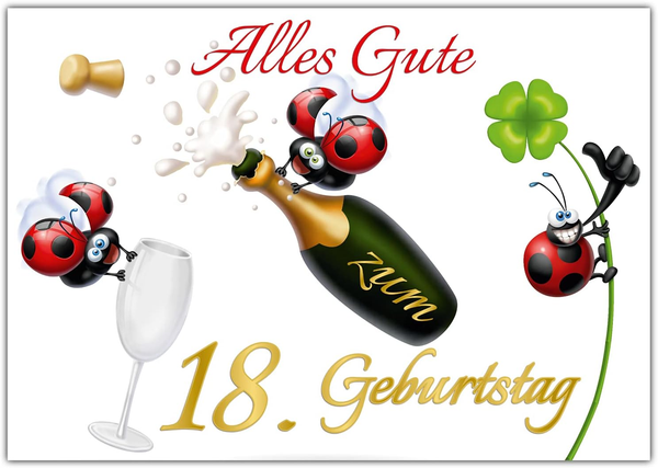 A4 Xxl 18 Geburtstag Karte MarienkÄFer Mit Umschlag - Lustige Geburtstagskarte G-image
