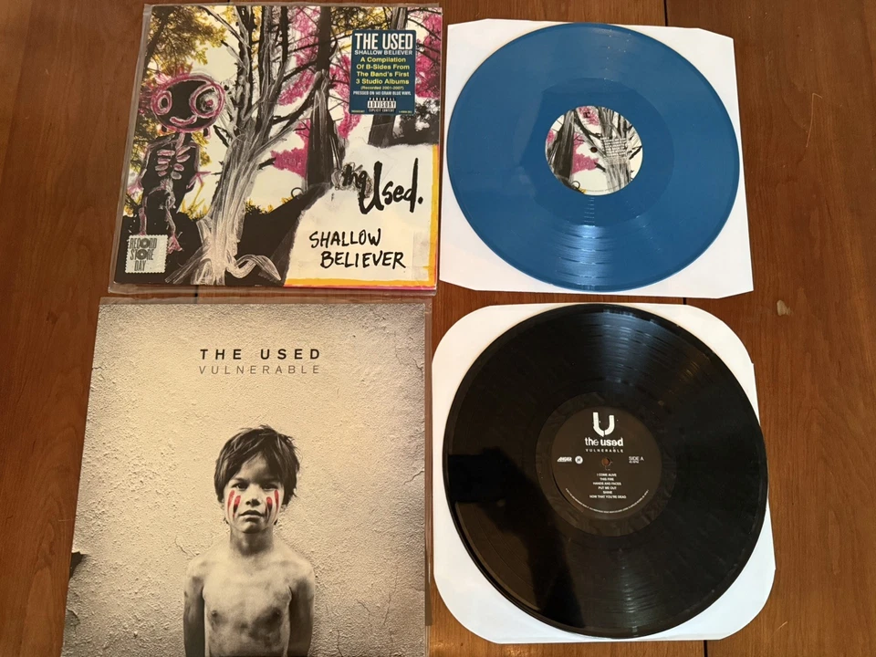 The Used Shallow Believer RSD vinyl + VULNERABLE - Image 1 of 2