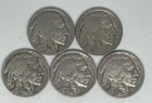1934-D 1935 1936 1937 1937-D Buffalo Nickel Lot of 5
