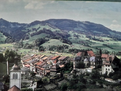 Springbok Panoramic Swiss Vista Castle 700 pieces Gruyeres Switzerland Green NEW - Picture 8 of 8