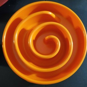 spiral dog bowl