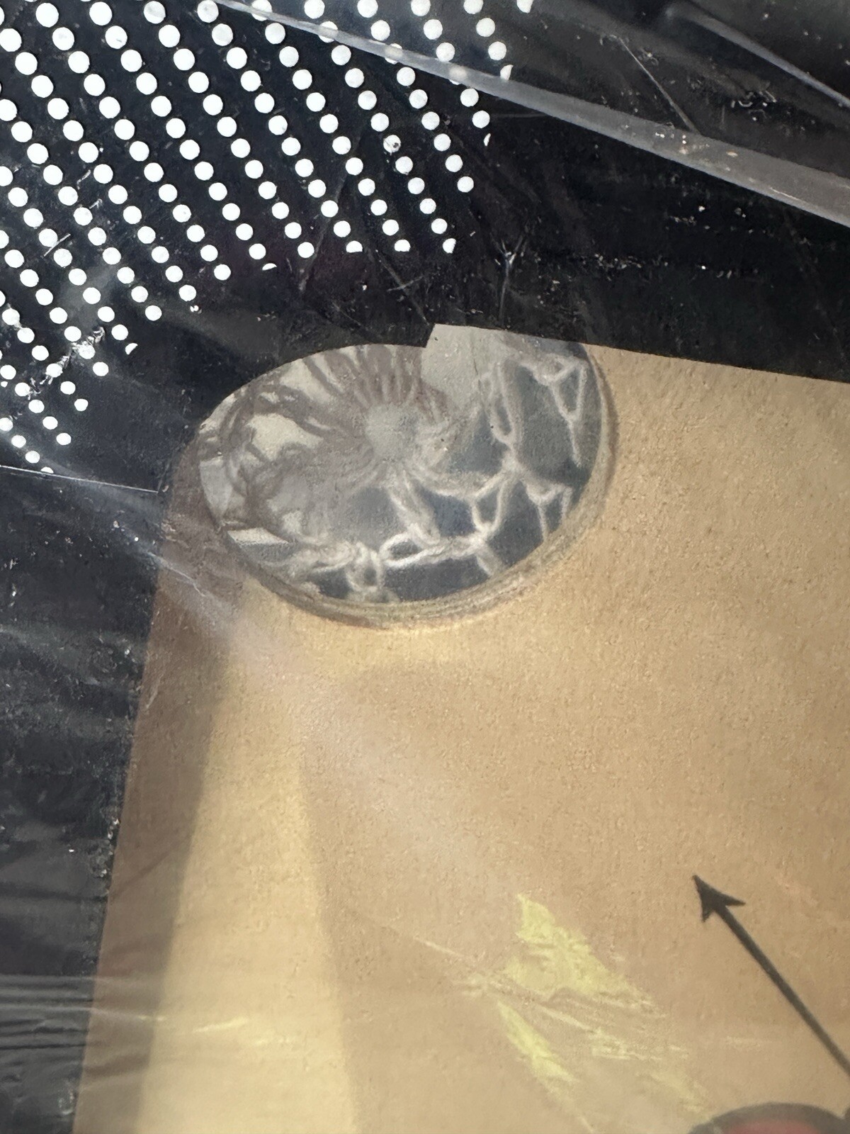Picture 4 of 6