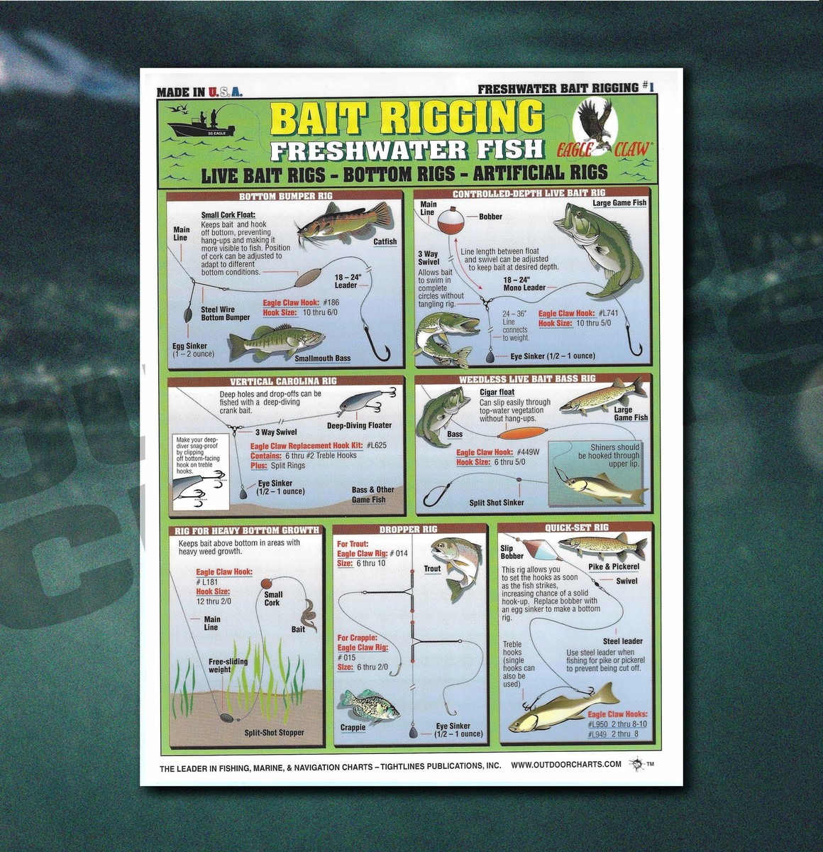 Fishermen's Freshwater Bait Rigging #1 (Live Bait Rigs, Bottom - Main Image