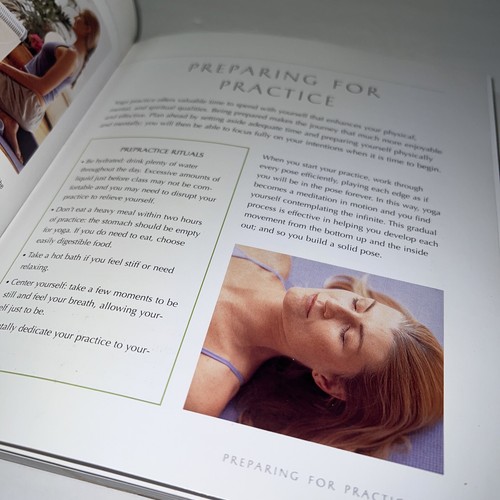 Hot Yoga : Energizing, Rejuvenating, Healing by Marilyn Barnett (2004, Trade... - Picture 6 of 6