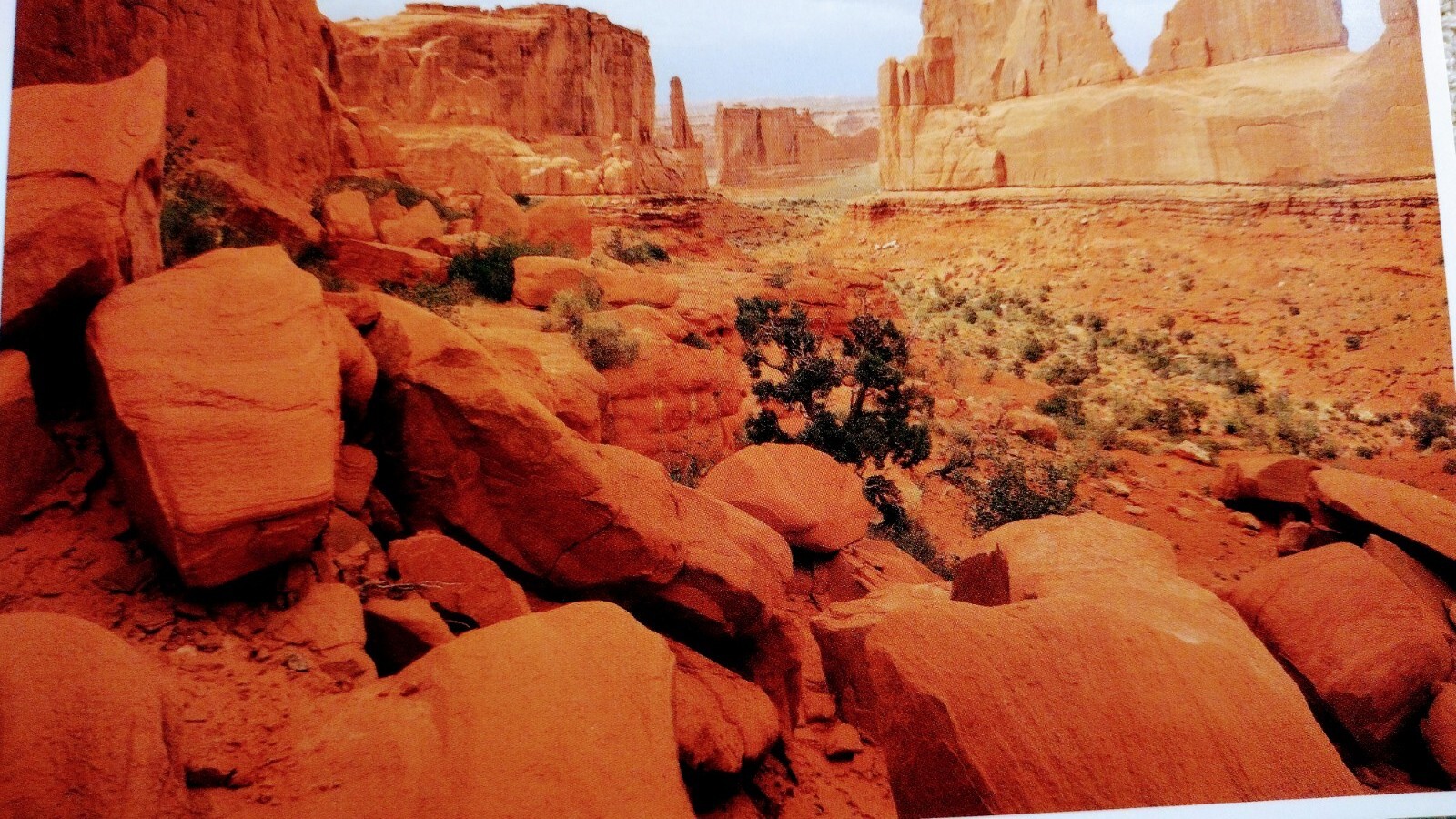 Picture 10 of 15