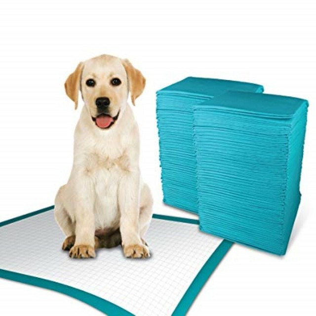 15023x36" Large LOW COST Puppy Piddle Pee Pads Economy Grade Puppy Dog