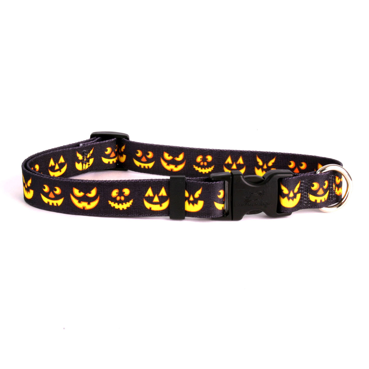 HALLOWEEN SALE Dog Collar - Jack O Lantern - XS S M L Yellow Dog Design USA  Made | eBay
