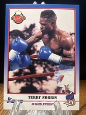 1991 Kayo Boxing Terry Norris Champion #020