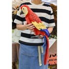 Bild 11 von 11