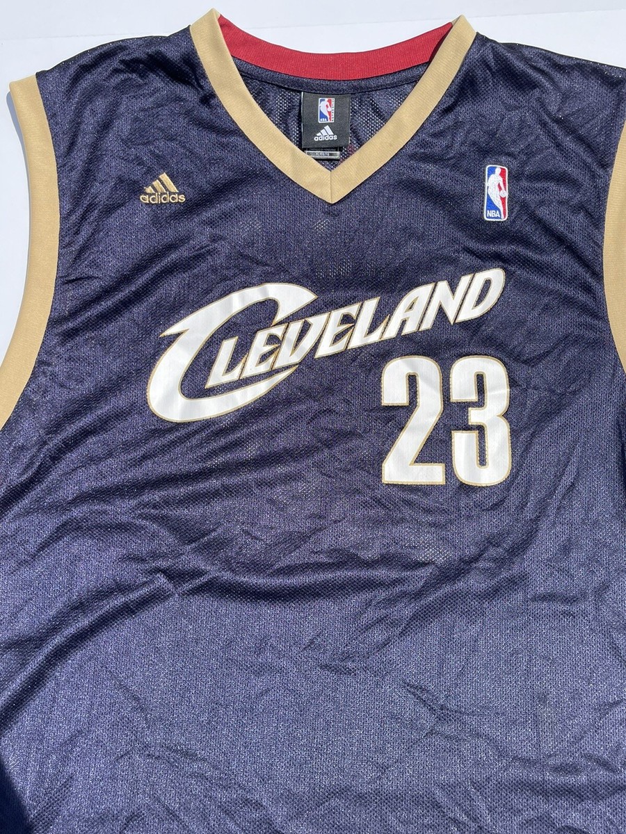lebron james navy blue cavs jersey