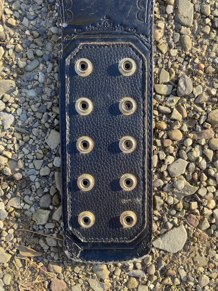 2007 WWE WWF WCW Campeonato Mundial Peso Pesado Réplica Cinturón Figuras Toy Co. Y2K Foto 4 de 4