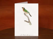 Black-collared barbet by Jacques Barraband (1806) - A5 Art Print Greeting Card