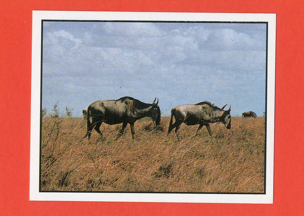 Picture 90 of 155