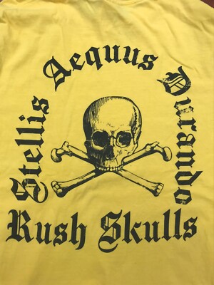 Vtg Sigma Phi Epsilon T-Shirt Mens M Skull Rush Frat Fraternity