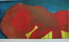 German Willibrord Haas NASO BEAR 2005 HAND SIGNED 4/50 ETCHING Abstract German