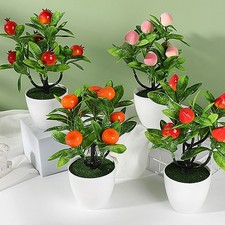 Decoración de plantas bonsai de frutas de interior para arreglo de mesa de salón