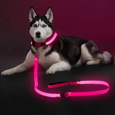 Light Up LED Dog Leash 6FT – USB Rechargeable Glow Leash for Night Safety