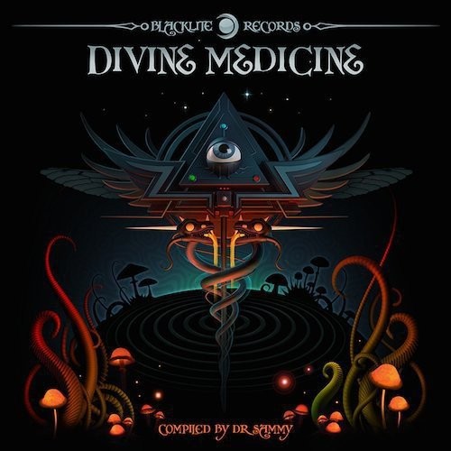 Различные исполнители Divine Medicine CD NEU