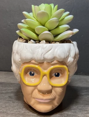 The Golden Girls Sophia Face Mini Ceramic Planter With Faux Succulent | 3 Inches - Image 1 of 4