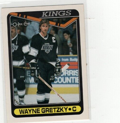 1990-91 Wayne Gretzky O-Pee-Chee #120 (B-2134)