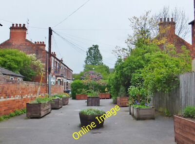 Foto 12x8 Ella Street, Kingston upon Hull Pflanzgefäße im 'tenfoot&# c2014