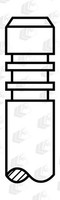 AE Einlassventil V98026 FüR Abarth Lancia 500 X12 Opel Combo Fiat 595 Alfa Tour