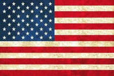 28.5" X 44" Panel American Flags USA Patriotic Cotton Fabric Panel D305.66
