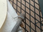 Bild 9 von 11