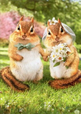 Chipmunk Bride And Groom Funny Wedding Card - Greeting Card by Avanti Press