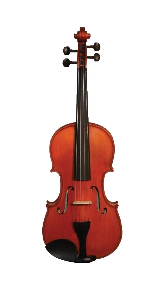 Violines Gliga
