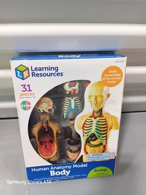 Learning Resources Human Anatomy Model Body 31 pc Learning Home School,LER 3336