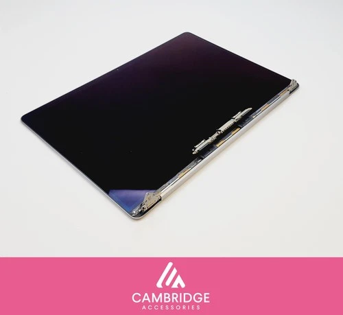 Poor MacBook Pro 16" 2019 A2141 LCD Screen Display Assembly Space Grey