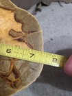 Picture 19 of 24