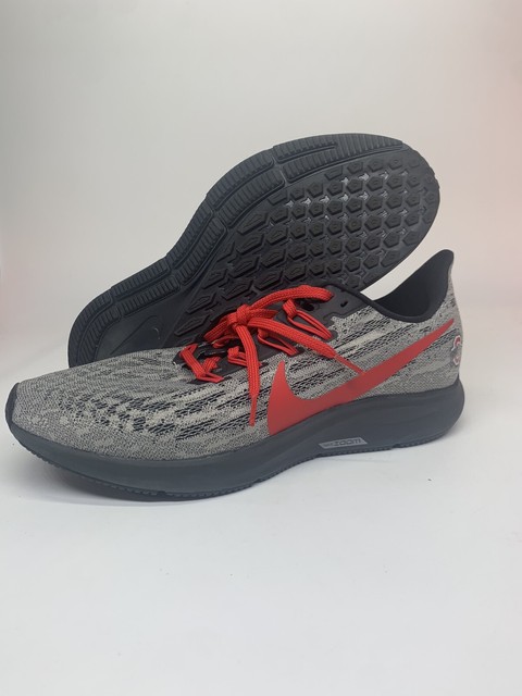nike pegasus ohio state