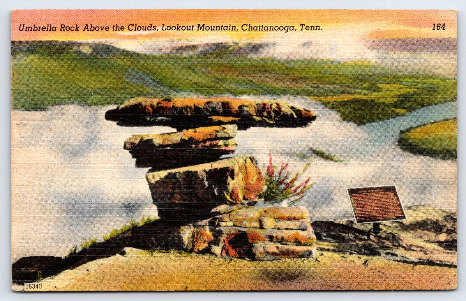 Original Old Vintage Outdoor Postcard Umbrella Rock Chattanooga Tennessee USA