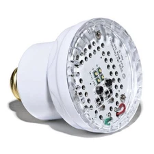 J&J Electronics PureWhite 2 LED 120V, 7W White LED Pool and Spa Light Fixture