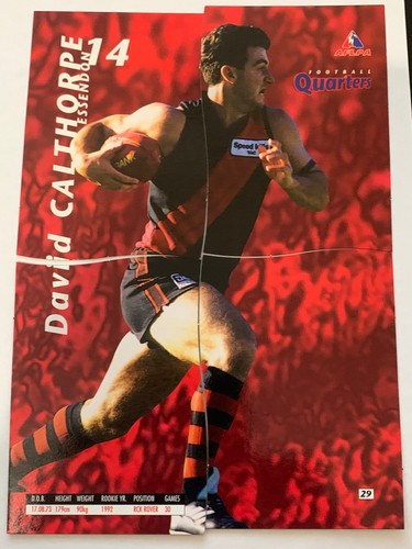 1995 AFL Football Quarters-Choose From Dropdown List-Full 4 Quarters Per One.AVE - Picture 14 of 53