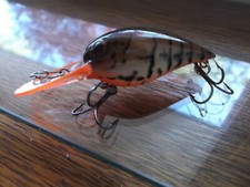 Custom Painted Predator Storm Wiggle Wart V Model Summer Craw
