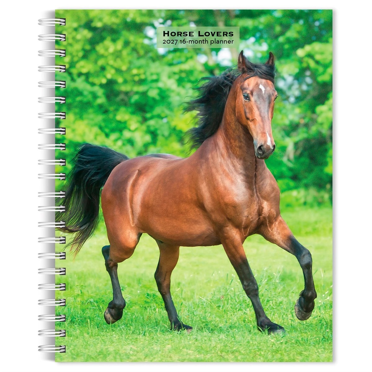 Horse Lovers 2027 6 X 7.75 Inch Spiral-Bound Wire-O Weekly En... - 9798330709458 - Image 2