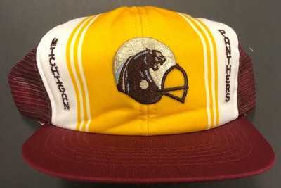 1980s Vintage USFL Michigan Panthers 