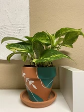 Custom Planter (plant Not Included)