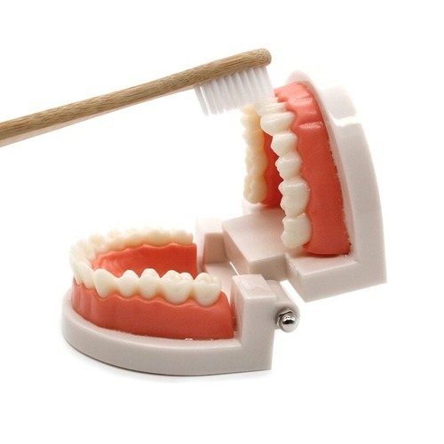 Montessori Educational Toys For Children Early Learning Kids Intelligence Brush - Picture 3 of 12